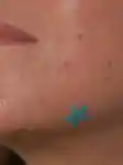 462x616_MM_Breakouts.jpg