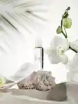 Alternative Image Kai Signature EDP