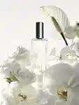 Alternative Image Kai Signature EDP