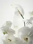 Alternative Image Kai Body Glow