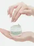 Alternative Image Mario Badescu Seaweed Night Cream