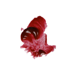 Swatch Ellis Faas Glazed Lips