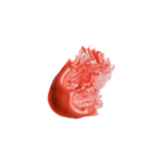 Swatch Ellis Faas Glazed Lips