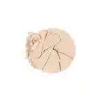 Swatch Chantecaille Compact Makeup