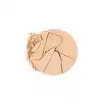 Swatch Chantecaille Compact Makeup