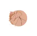 Swatch Chantecaille Compact Makeup