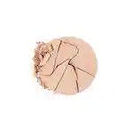 Swatch Chantecaille Compact Makeup