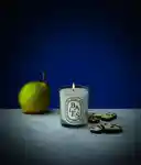Alternative Image Diptyque Baies Candle
