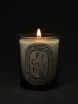 Alternative Image Diptyque Figuire Candle190g