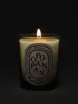 Alternative Image Diptyque Opopanax190g Candle