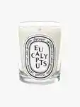 Hero Diptyque Eucalyptus Candle