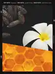 Alternative Image Bumble And Bumble Invisible Oil Primer