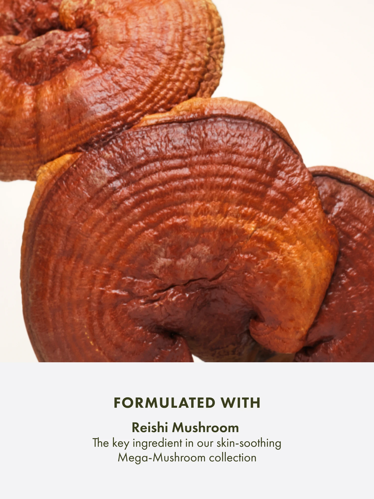 Alternative Image Origins Mega Mushroom Skin Relief Micellar Cleanser