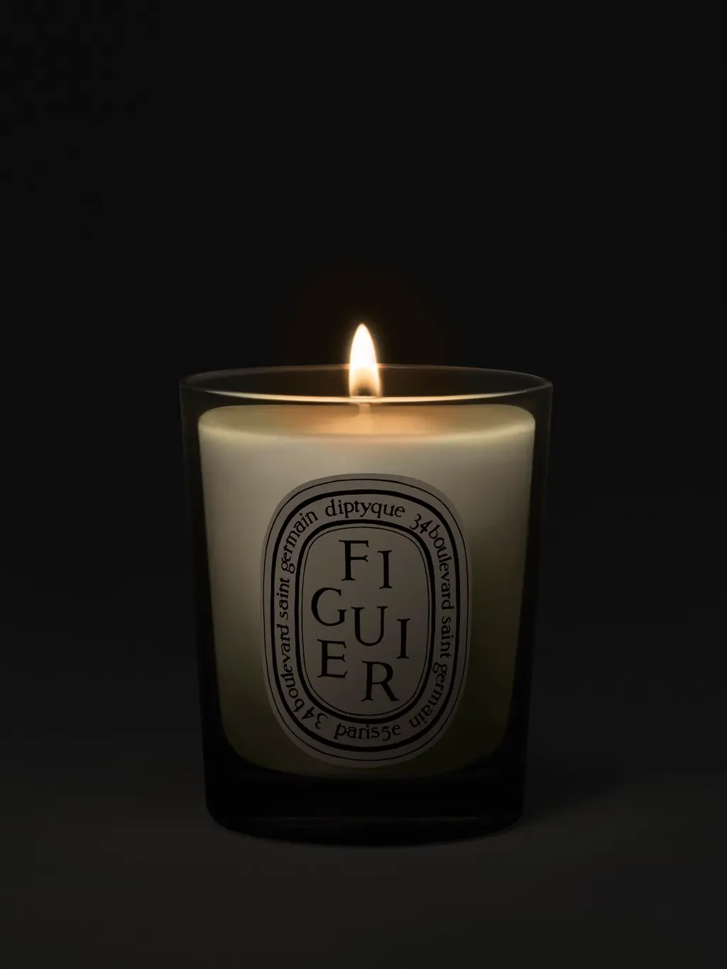 Alternative Image Diptyque Figuier Candle Small70g