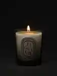Alternative Image Diptyque Figuier Candle Small70g