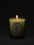Alternative Image Diptyque Tubereuse Candle70g