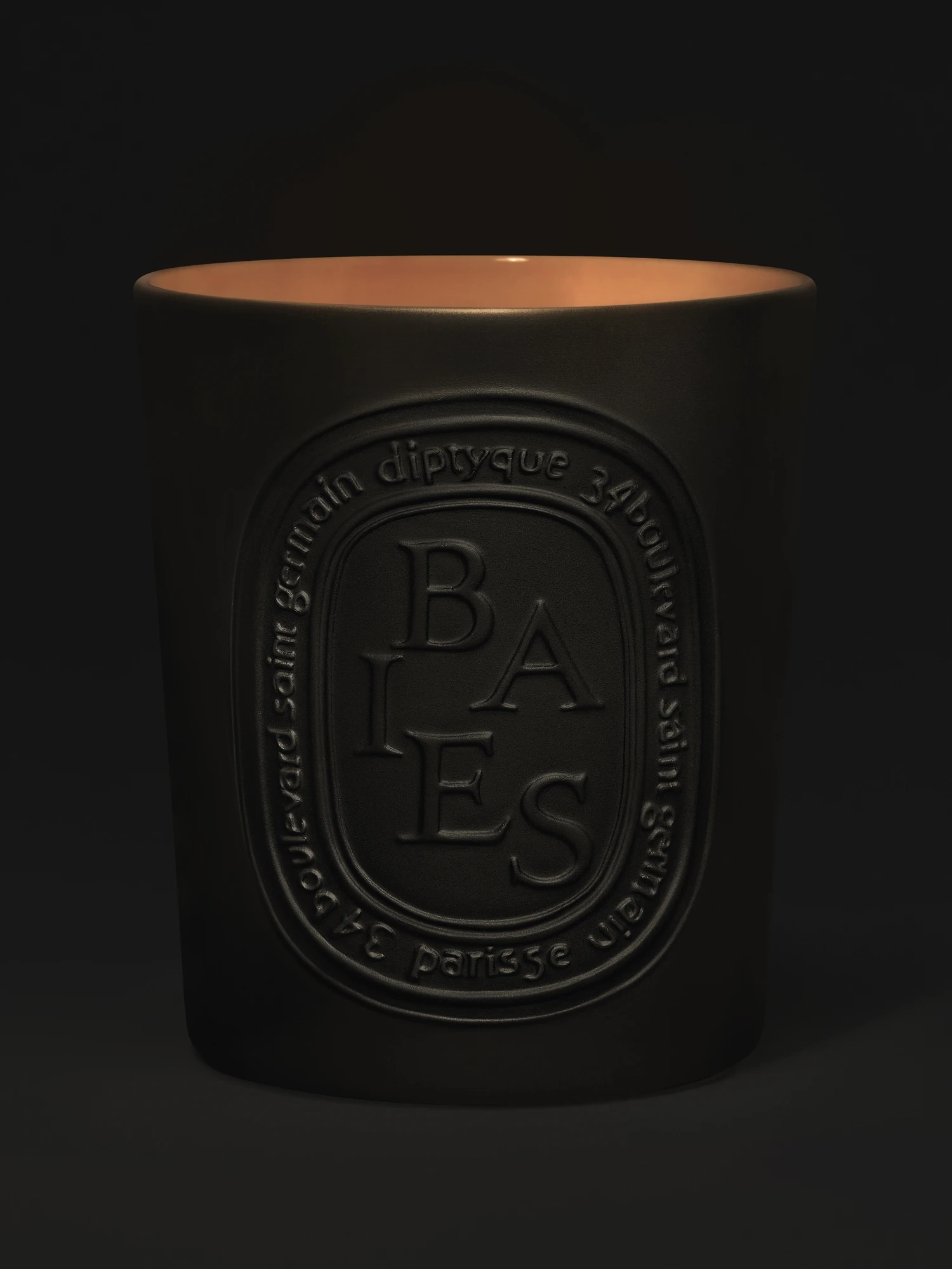 diptyque Baies Candle 600g | MECCA