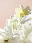 Alternative Image Kai Rose Perfume Oil