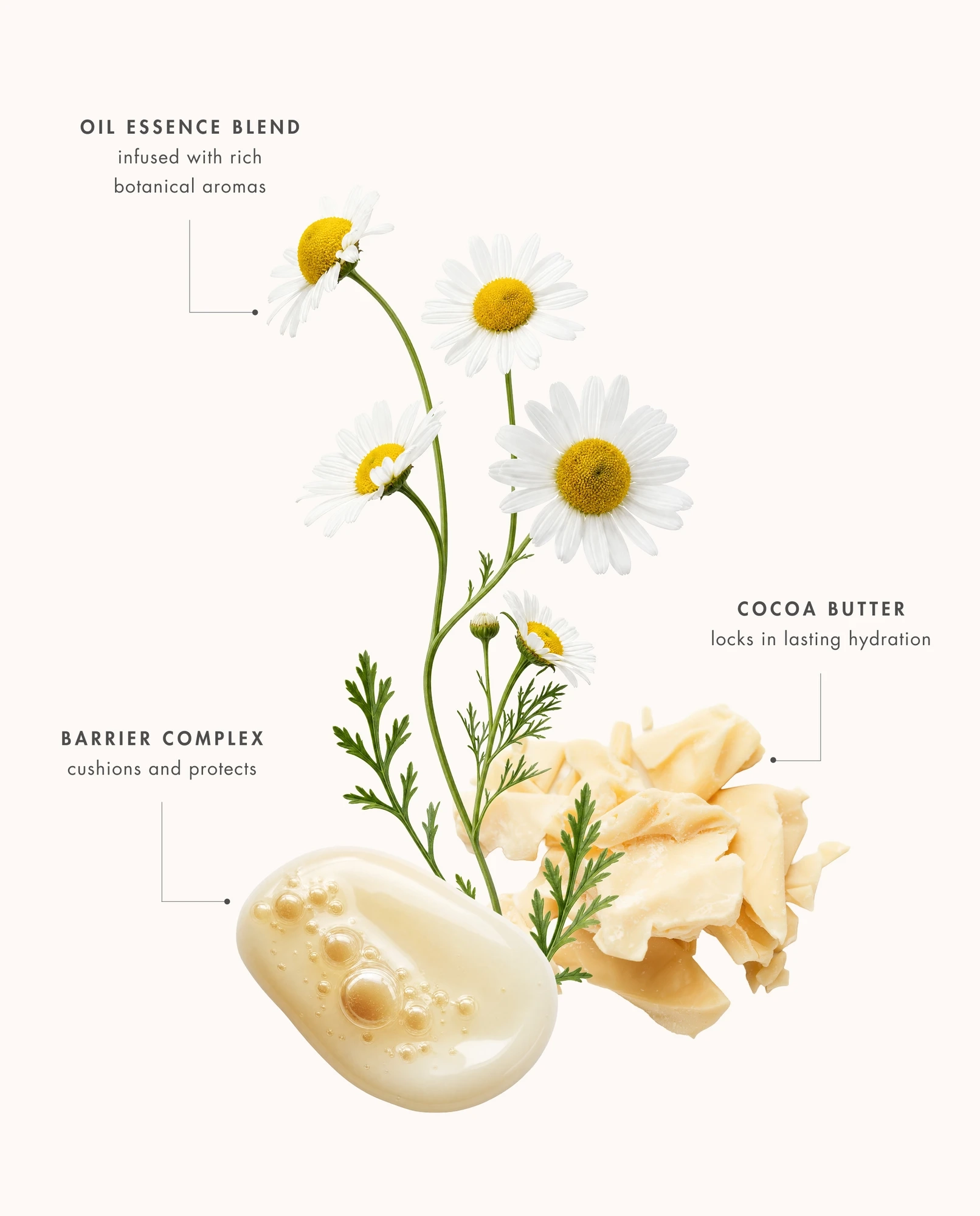 Eve Lom Cleanser | MECCA