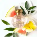 Alternative Image TOCCA Simone EDP