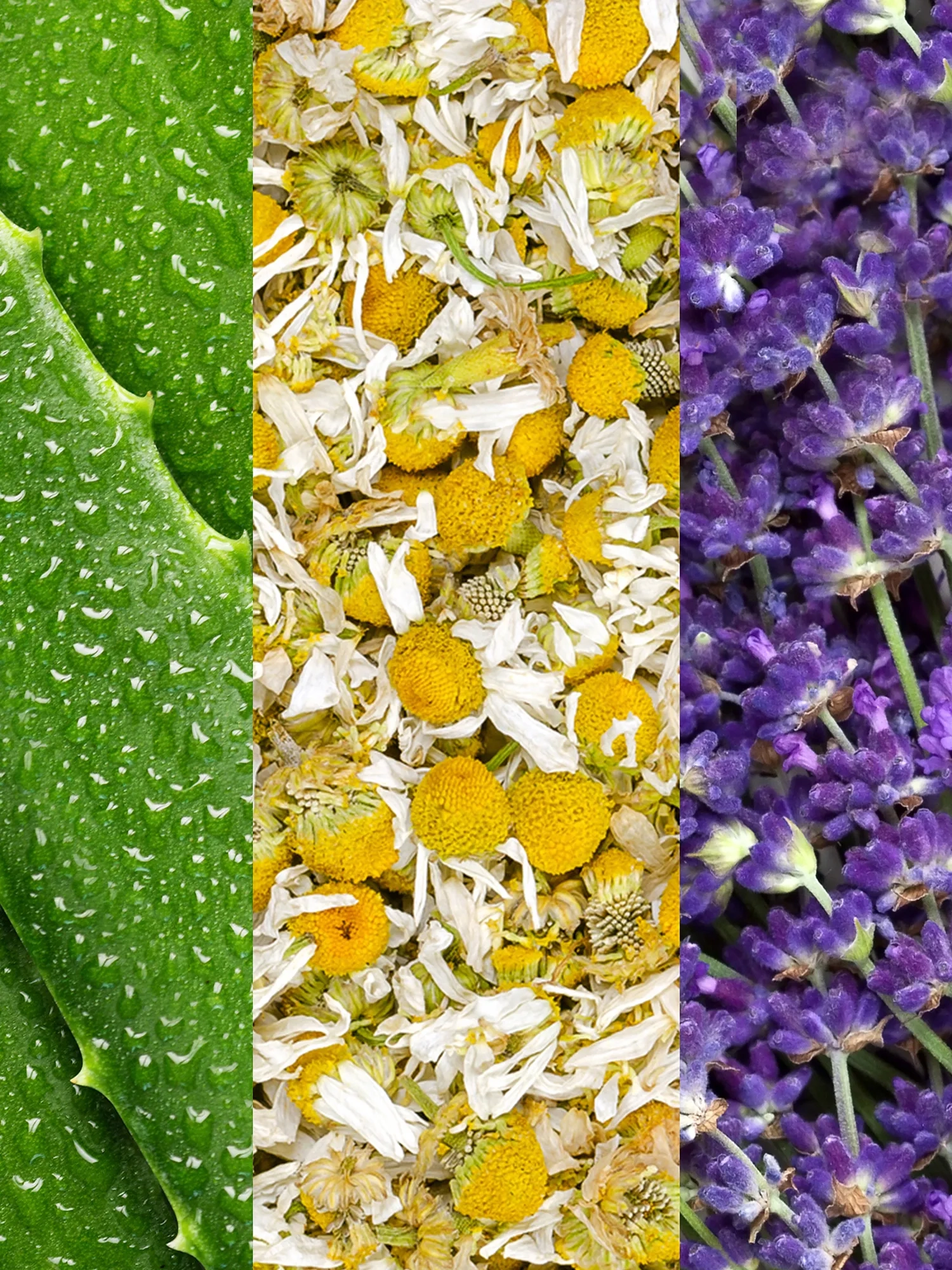 Alternative Image Mario Badescu Facial Spray Aloe Chamomile Lavender