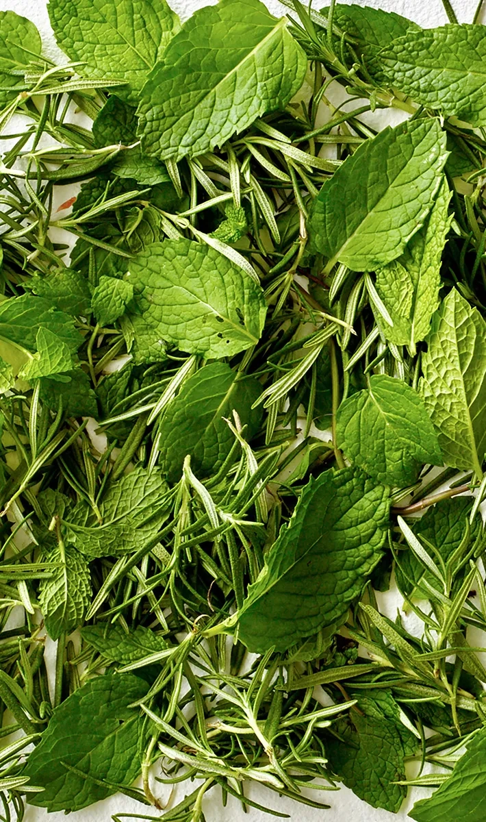 Alternative Image Aveda Rosemary Mint Shampoo