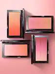 Alternative Image Kevyn Aucoin
