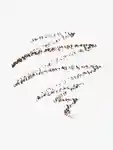 Swatch Anastasia Beverly Hills Brow Definer