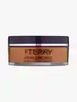 Hero By Terry Hydra Powder Tinted