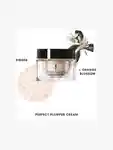 Alternative Image Yves Saint Laurent Pure Shots Perfect Plumper Cream