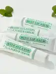 Alternative Image Mario Badescu Mint Lip Balm