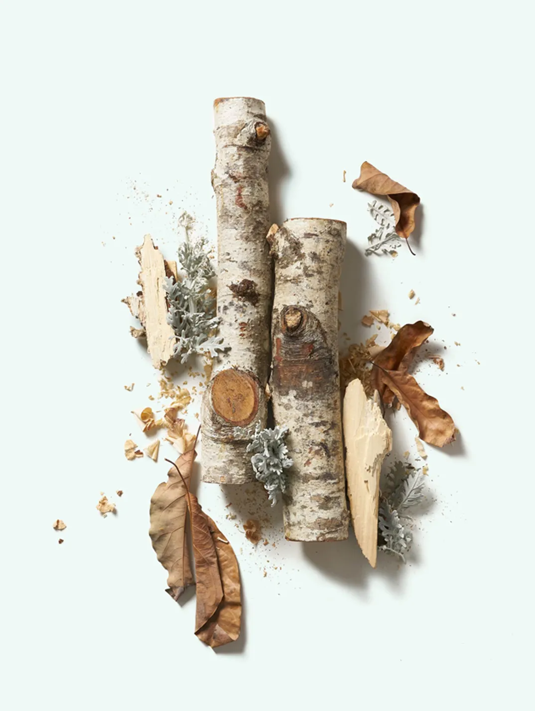 Alternative Image Corpus Naturals Santalum Natural Deodorant