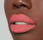 Alternative Image Morphe Matte Liquid Lipstick