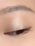 Alternative Image Chantecaille Luminescent Eye Shade