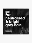 Alternative Image Loreal Professionnel Serie Expert Silver