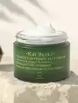 Alternative Image Kat Burki Vitamin C Intensive Face Cream