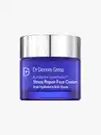 Hero Dr. Dennis Gross B3 Adaptive Super Foods Stress Repair Face Cream