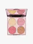 Hero By Terry Brightening CC Palette