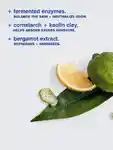 Alternative Image MALINGOETZ Bergamot Deodorant