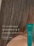 Alternative Image Aveda Botanic Leave In Treatment