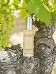 Alternative Image Juice Beauty Stem Cellular Vinifera Replenishing Oil