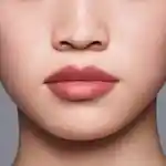 Alternative Image Shiseido Lip Liner Ink Duo