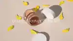 video-fallback-image