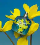 Alternative Image Floral Street Arizona Bloom50ml0