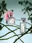 Alternative Image Maison Francis Kurkdijan L Homme A La Rose EDP