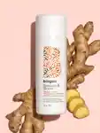 Alternative Image Briogeo Blossom& Bloom Ginseng Biotin Volumizing Root Powder& Dry Shampoo