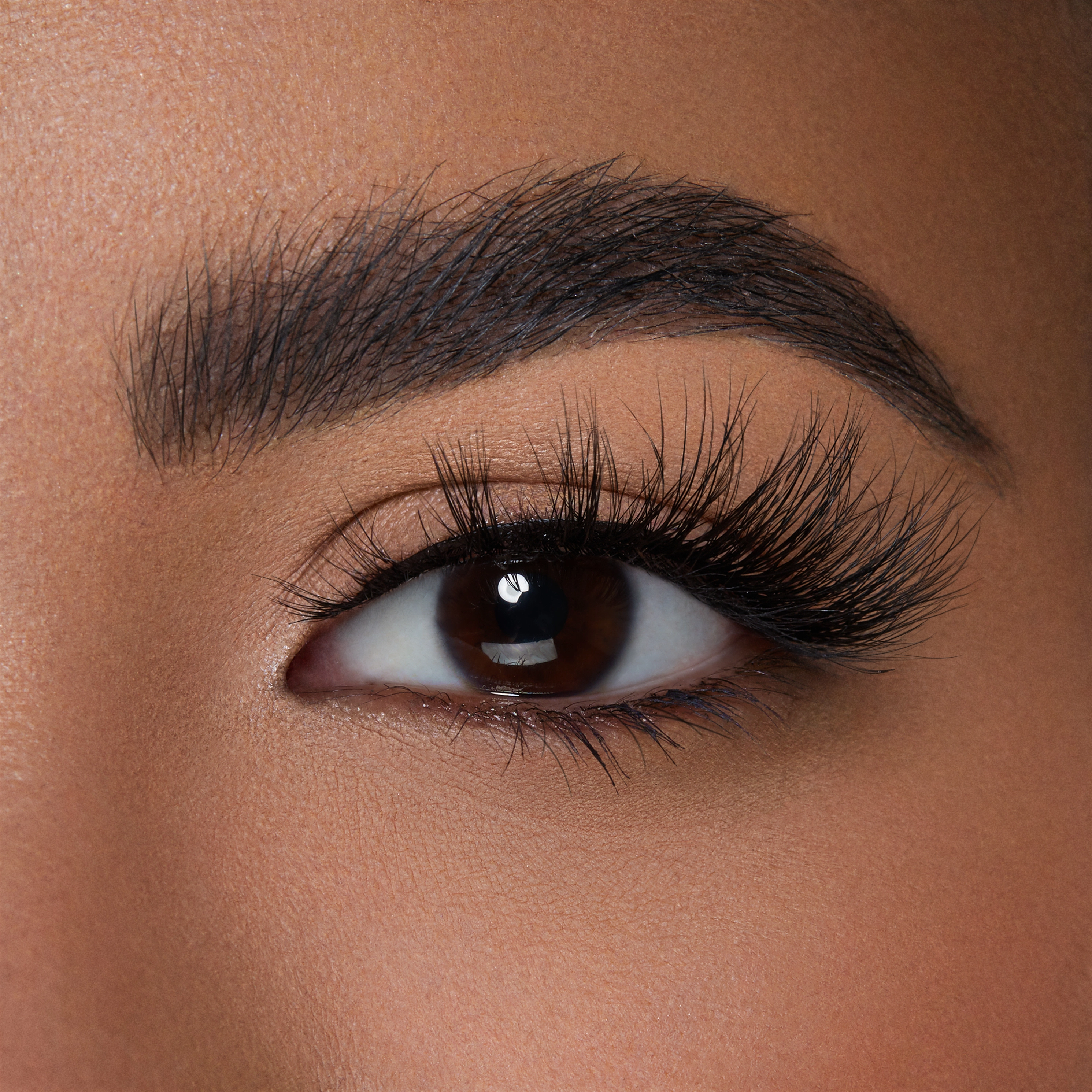 Lilly lashes 3d mink miami hotsell