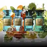 Alternative Image Tom Ford Neroli Portofino50ml