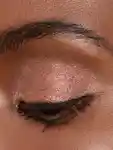 Alternative Image Chantecaille Luminescent Eye Shade