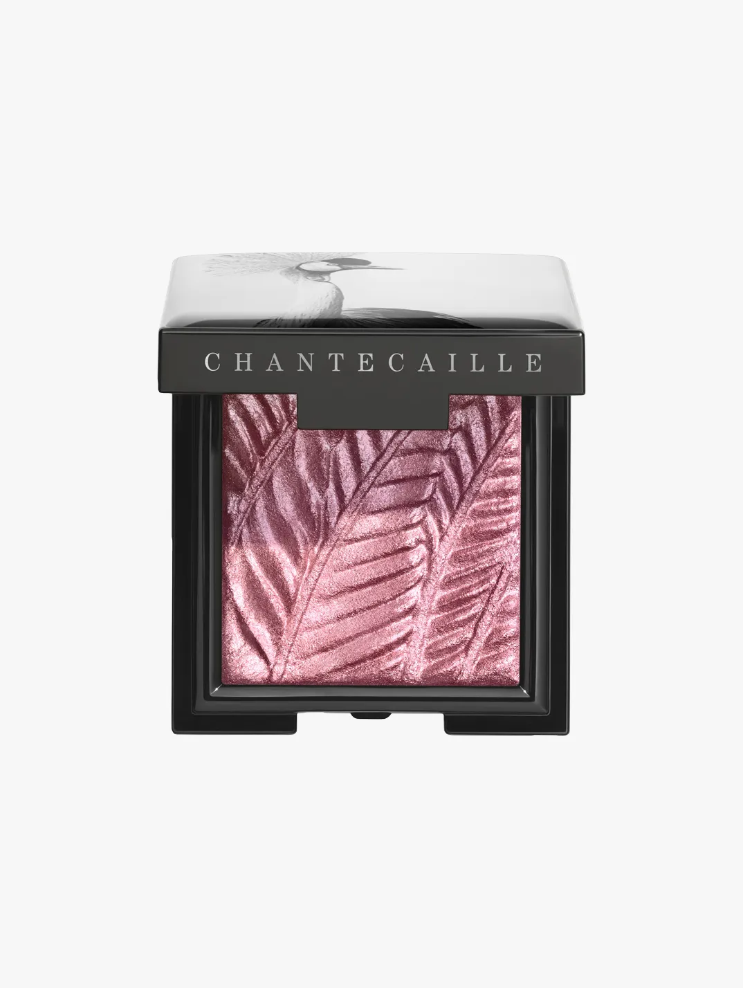 Hero Chantecaille Luminescent Eye Shade